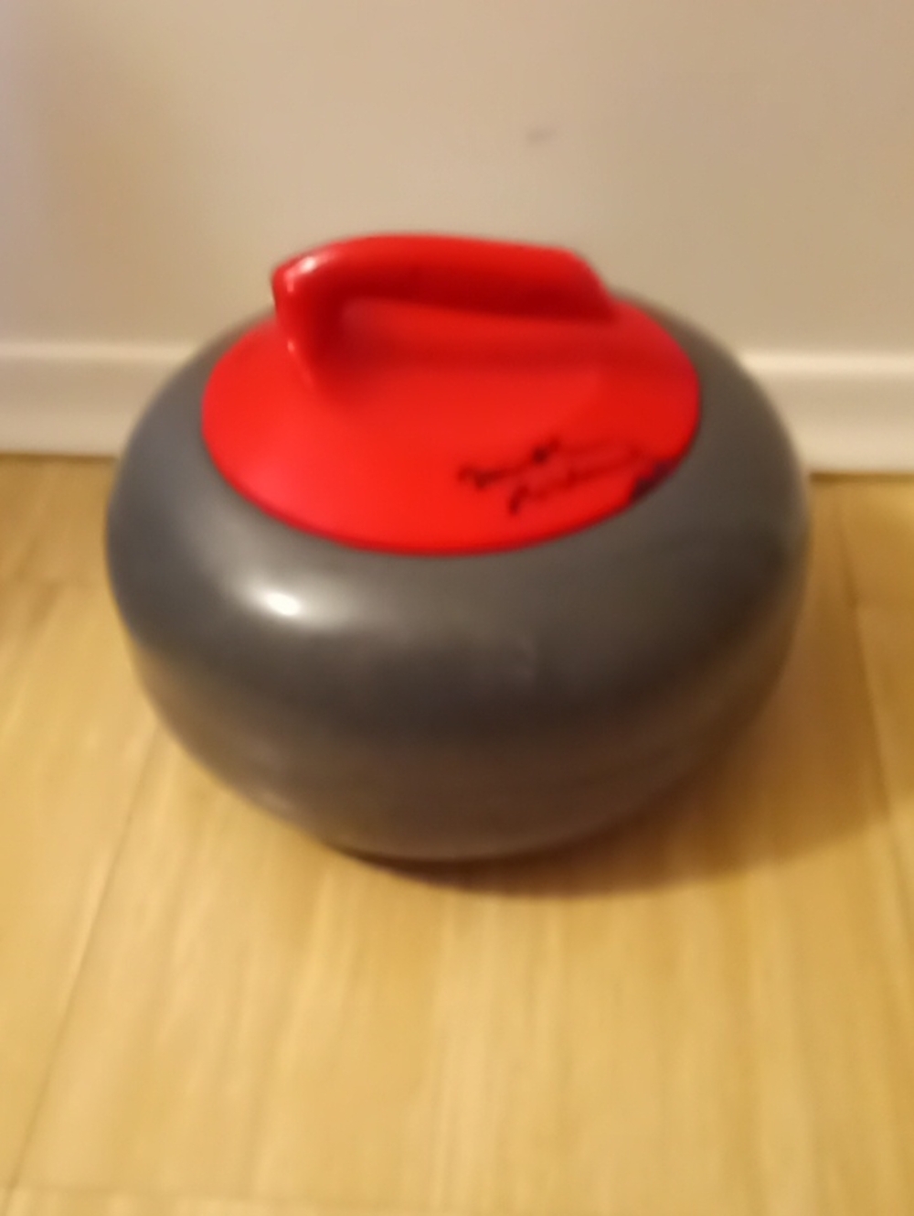 Asham Curling Rock Ice Bucket.